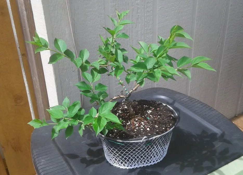 20180505_130915.jpg