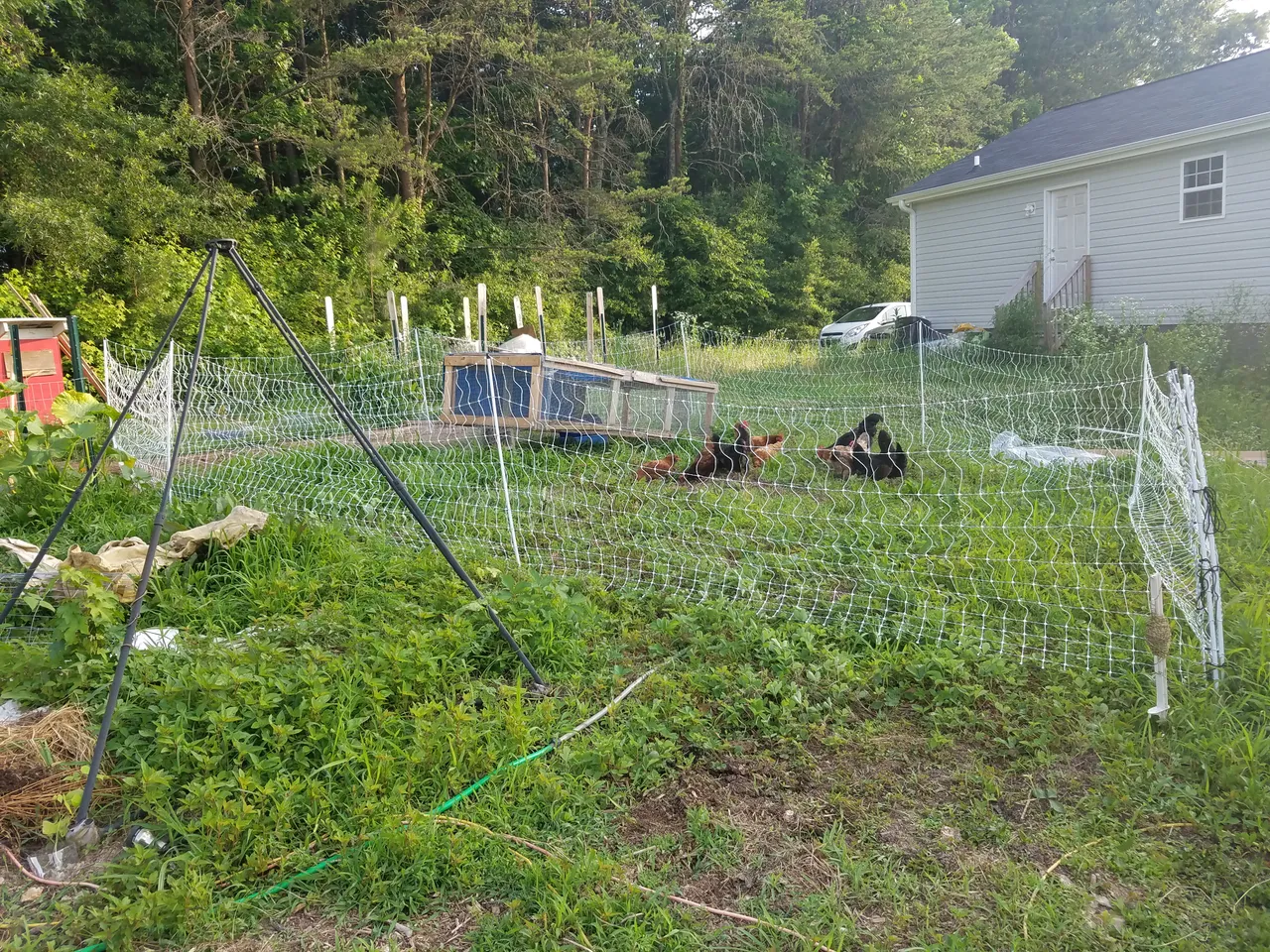 20180607_191221.jpg