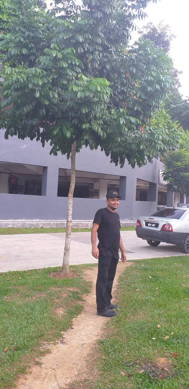 20190710_075006.jpg