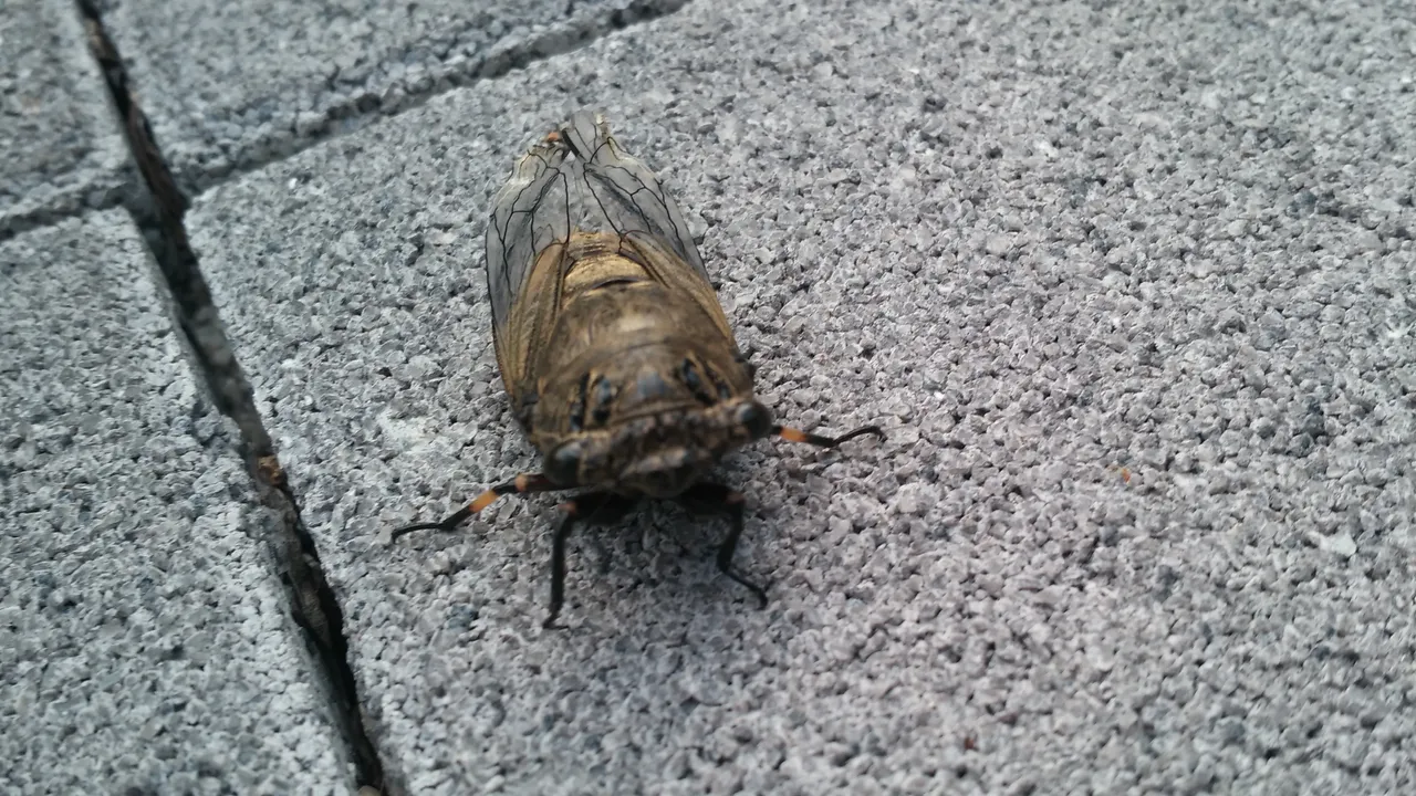 20180729_191643.jpg