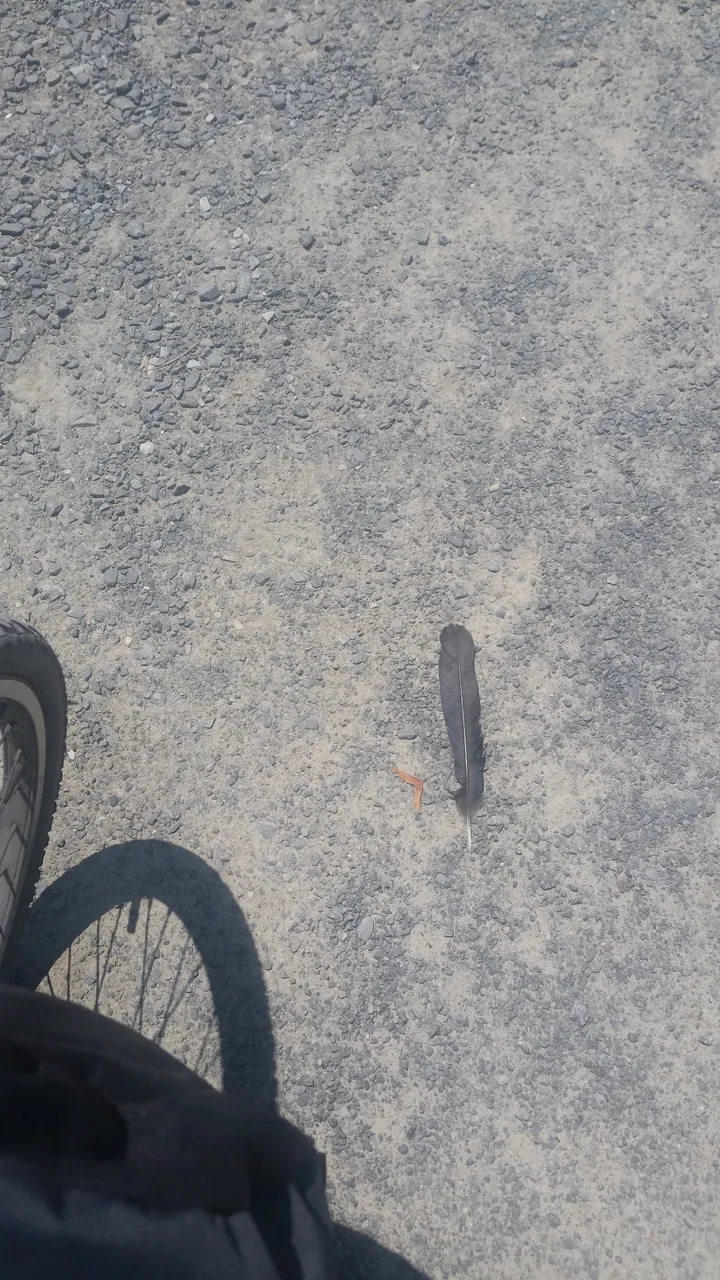 20190716_131252.jpg