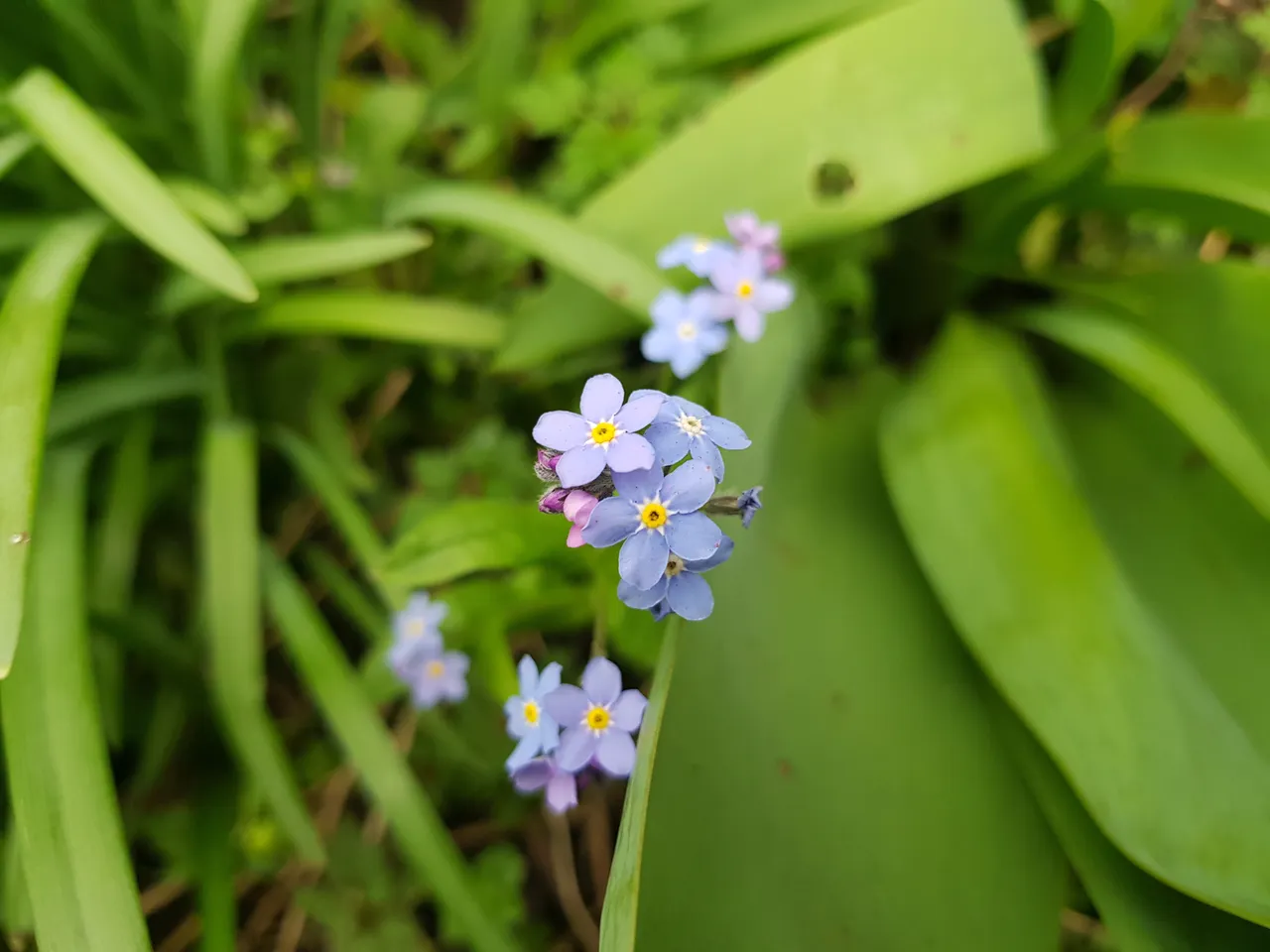 20190322_163247.jpg