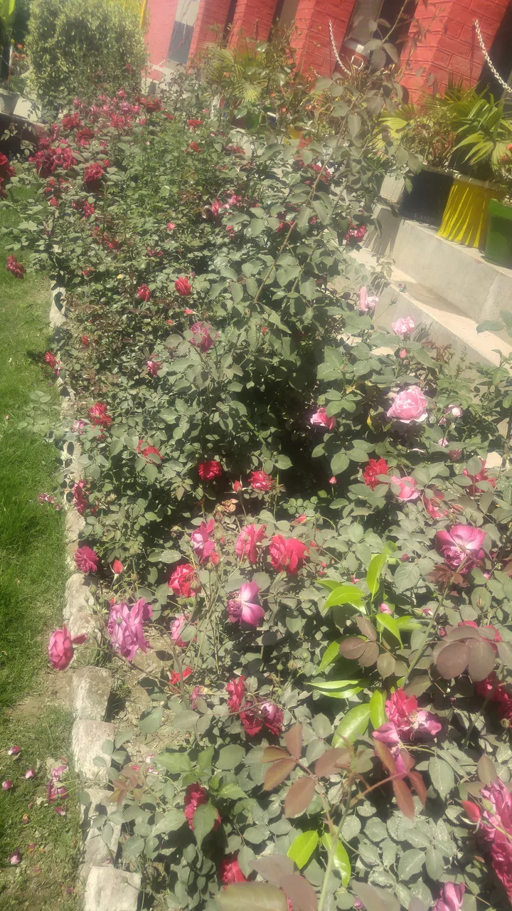 20190402_112404.jpg