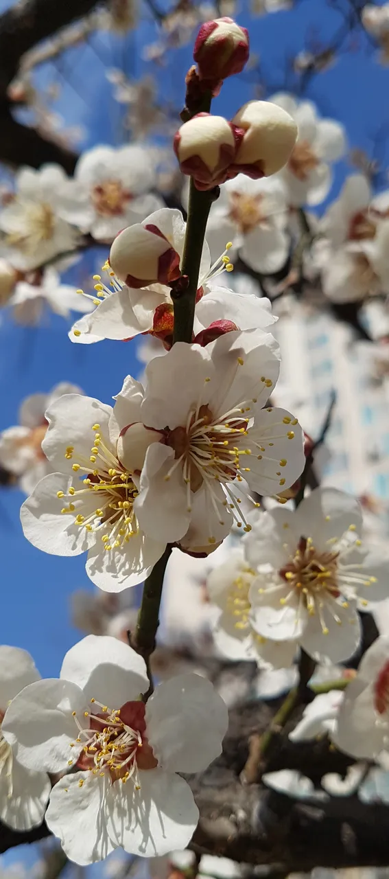 20190314_103028.jpg
