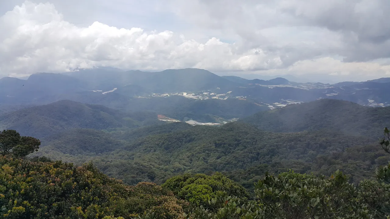 20180620_132113.jpg