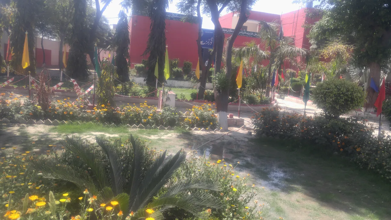 20190402_112428.jpg