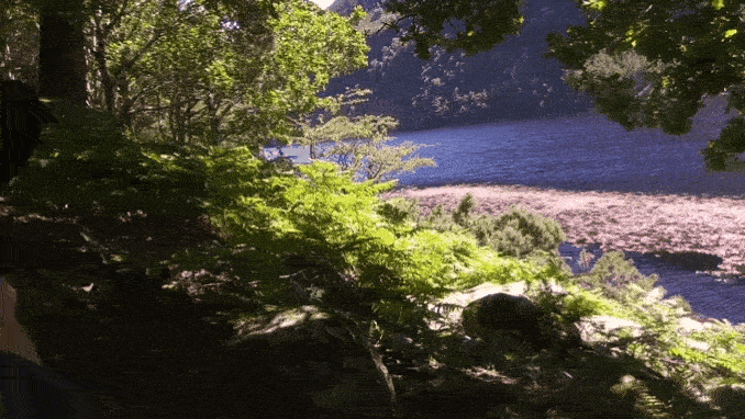 20190706_125238.gif