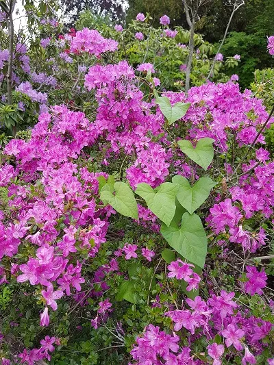 20180520_180341.jpg
