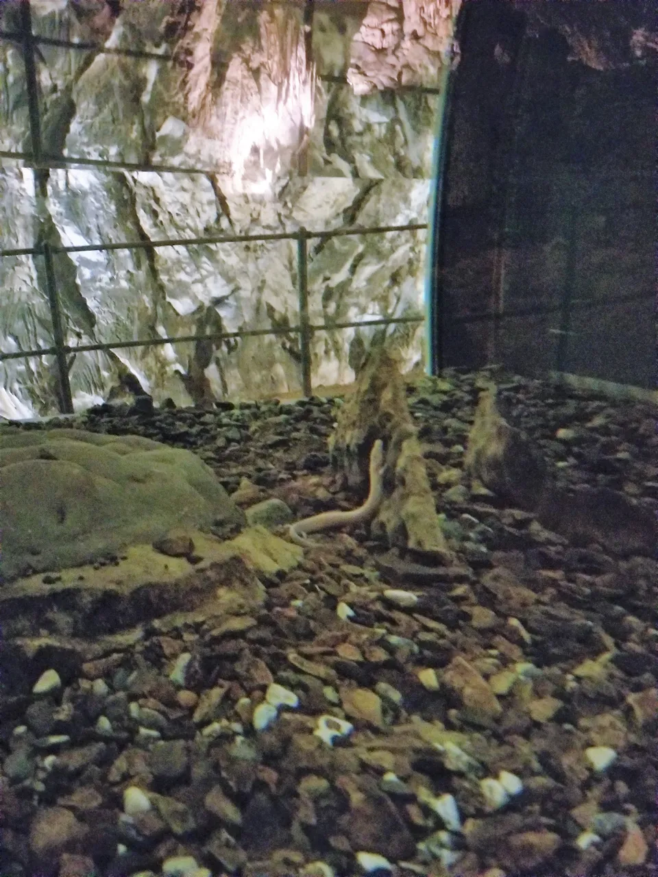 20180915_152333.jpg