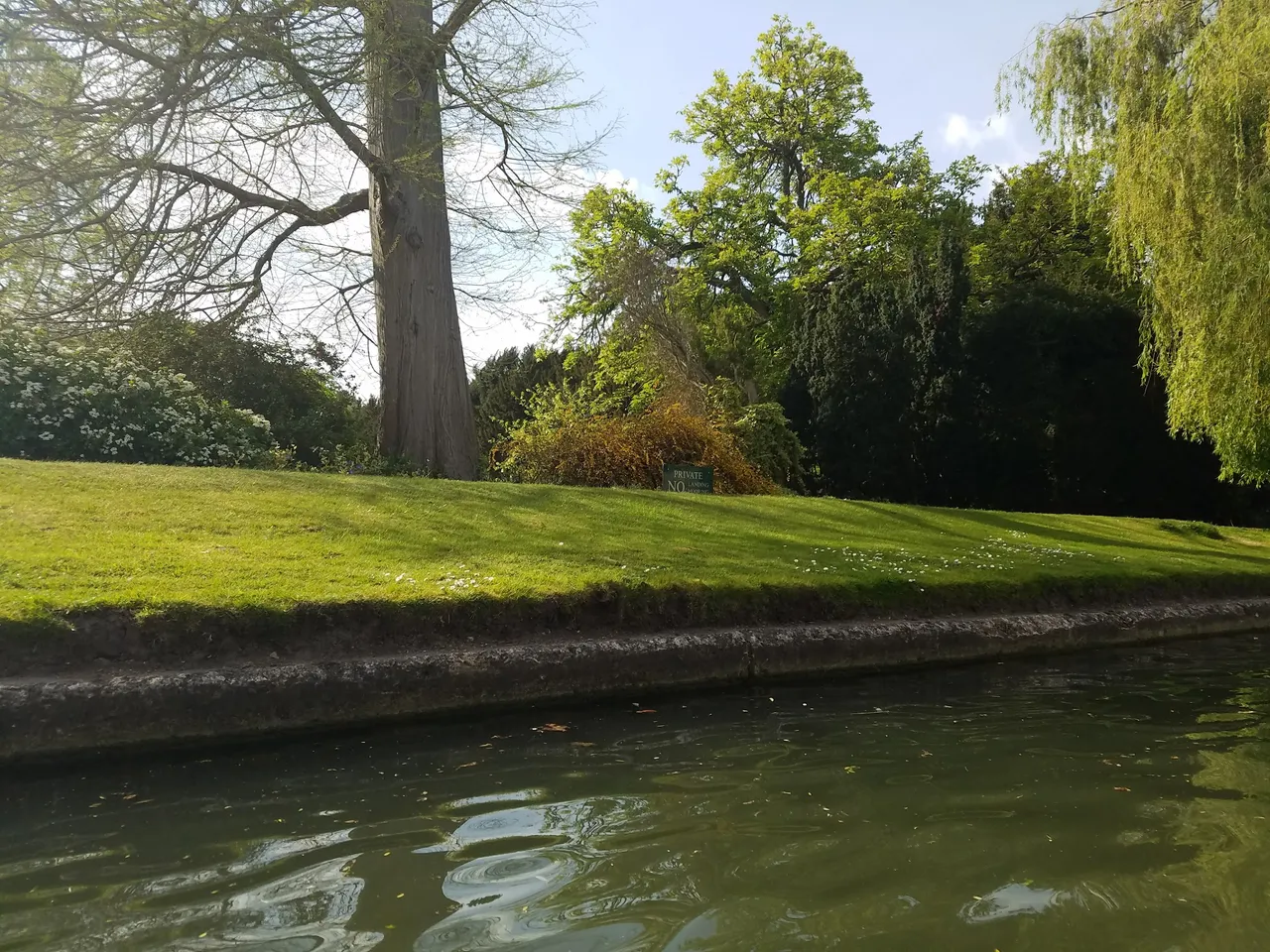 20170419_155447.jpg