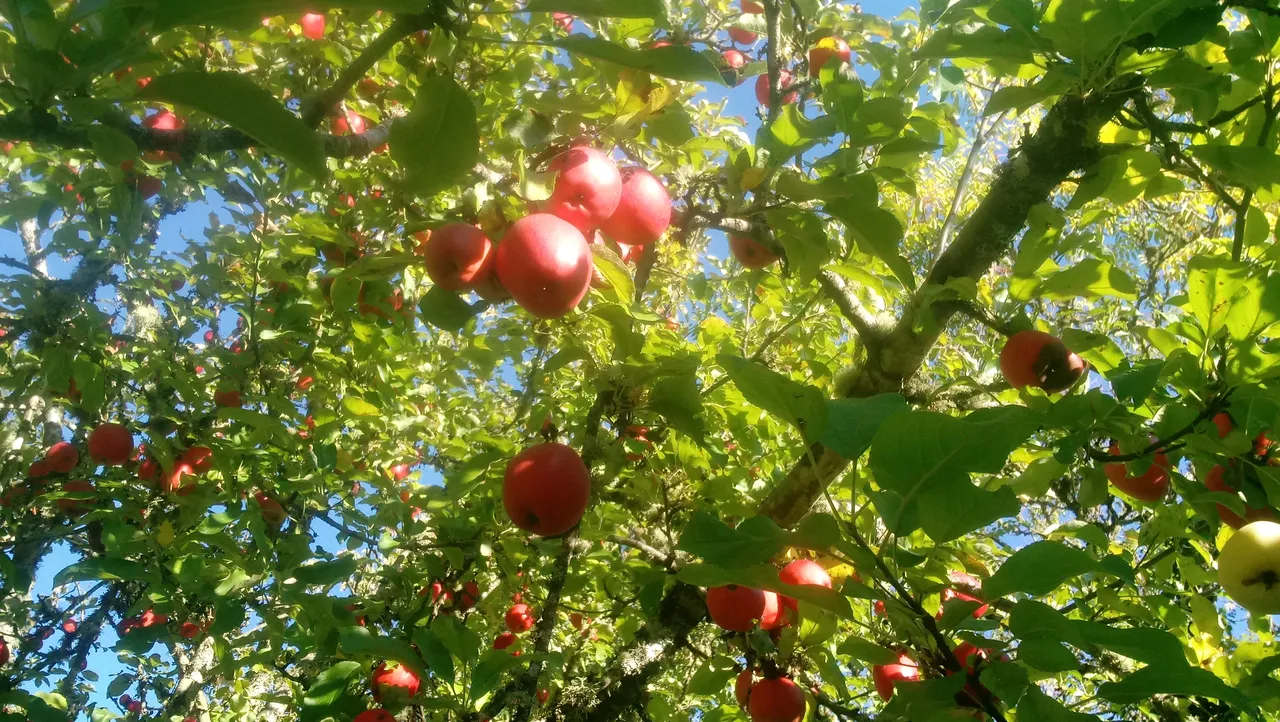 20181010_165215.jpg