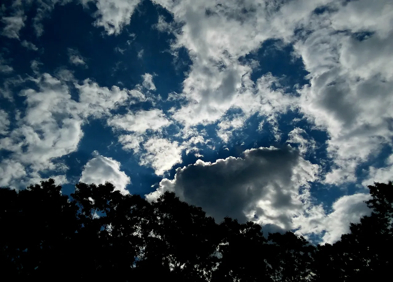 20190703_162719.jpg