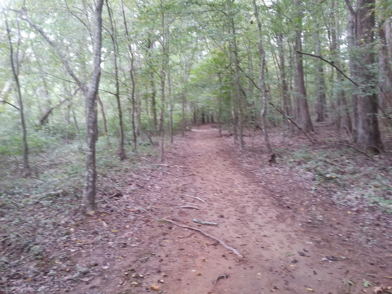 20180921_122533.jpg