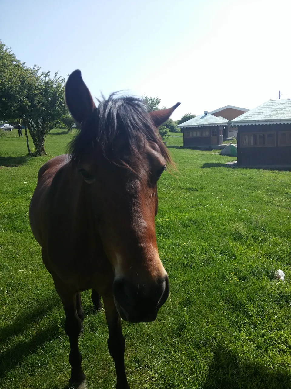 20190525_094606.jpg