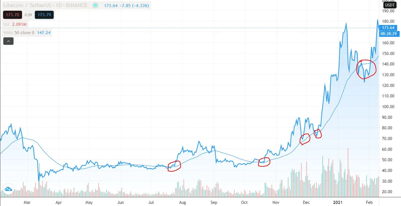 Litcoin Chart.JPG