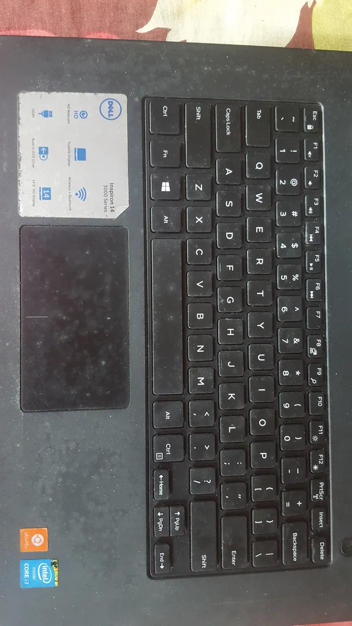 20180801_110305.jpg