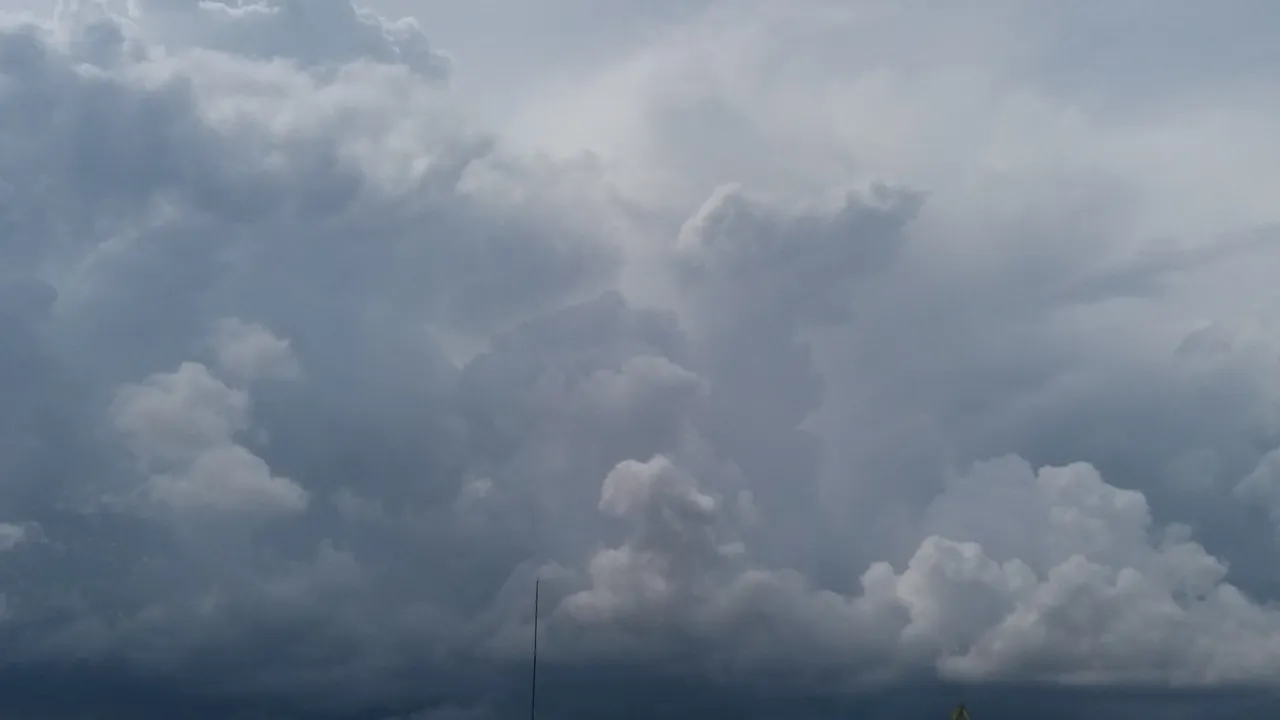 20190714_151400.jpg
