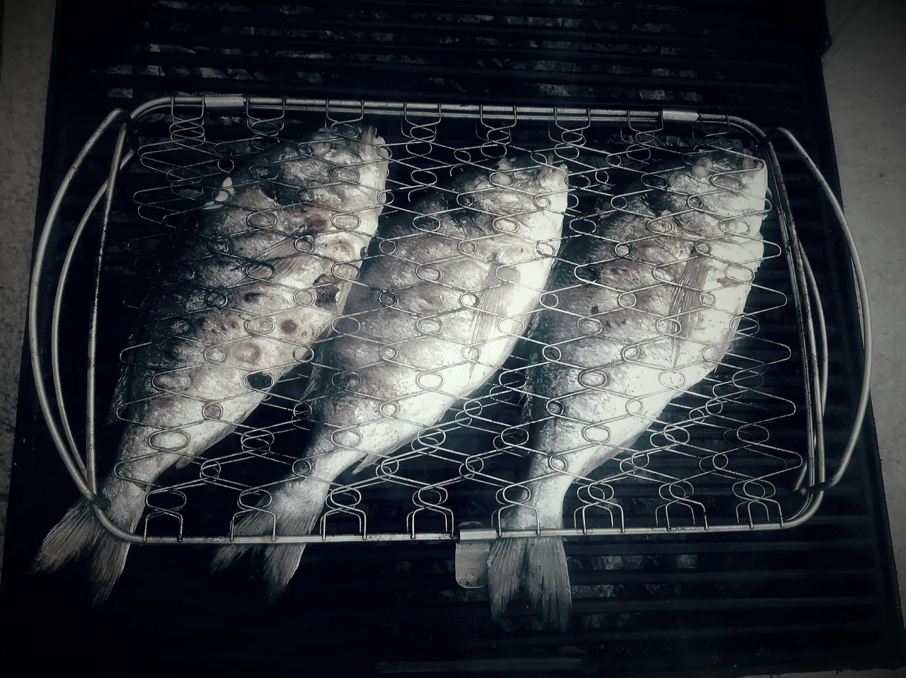 20180915_183434.jpg