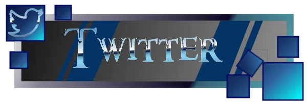 Twitter Panel.png