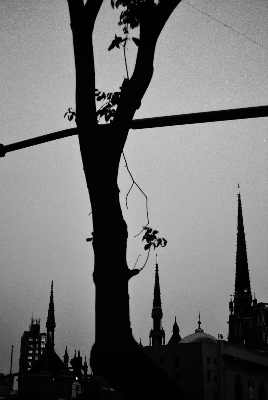 DSC_0968-01-01.jpeg