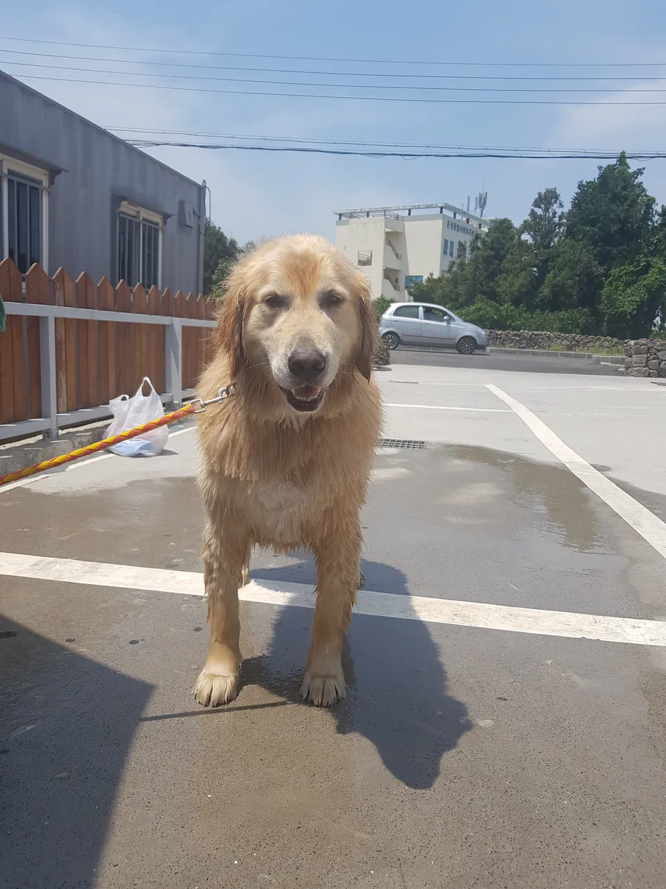 20180602_112739.jpg