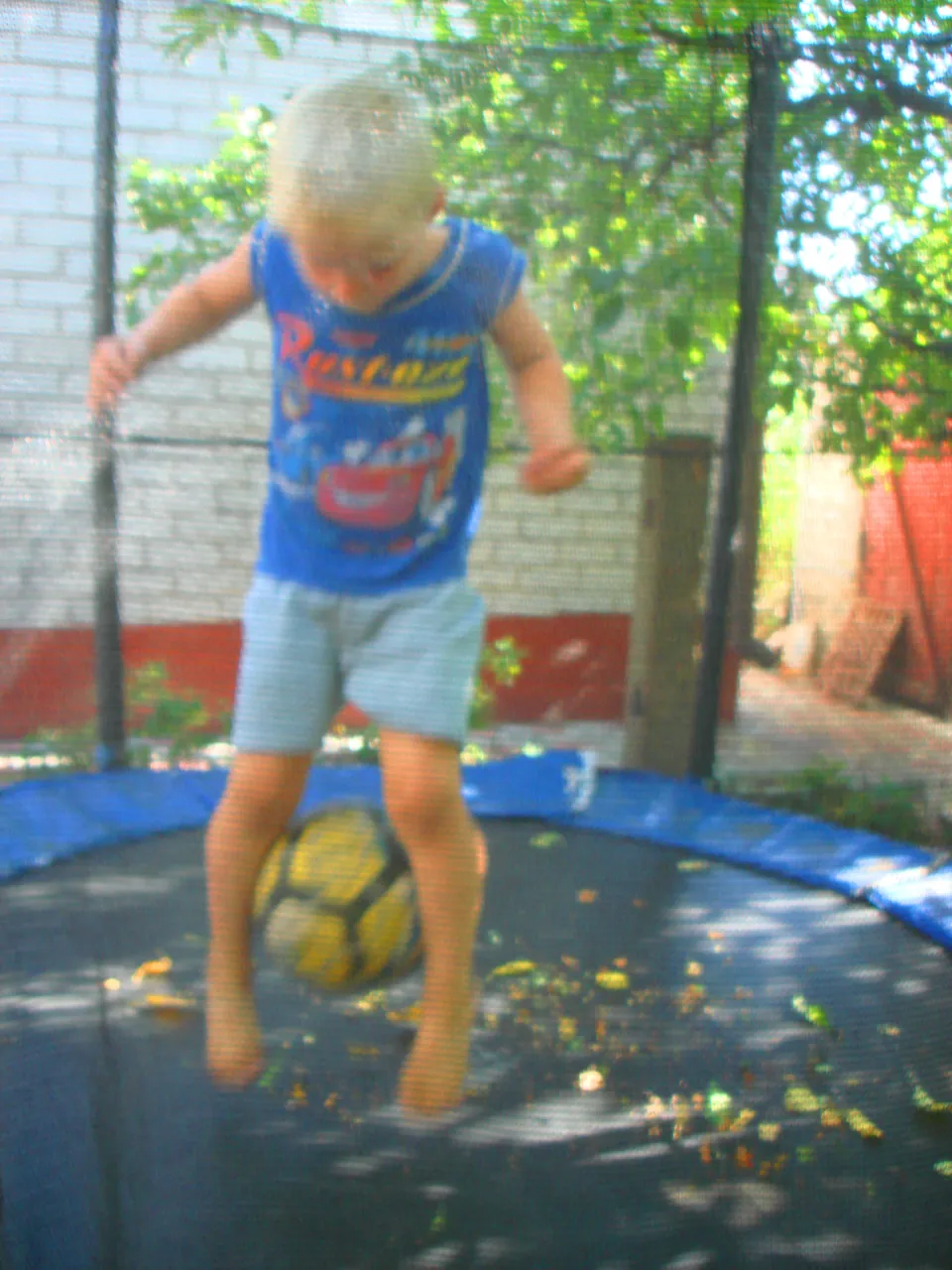 DSC01698-222222.jpg
