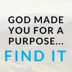 Purpose-300x300.jpg