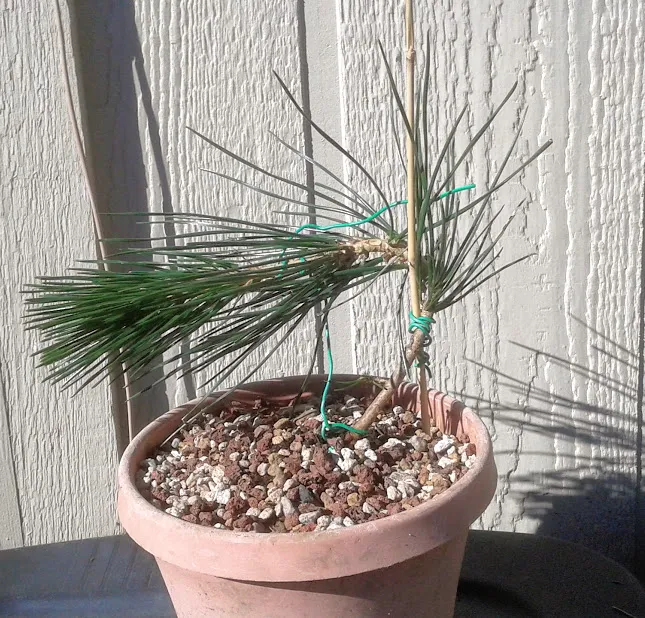 20190302_103249.jpg