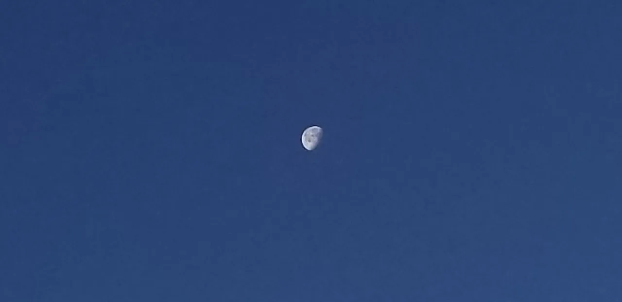 20190125_071649.jpg