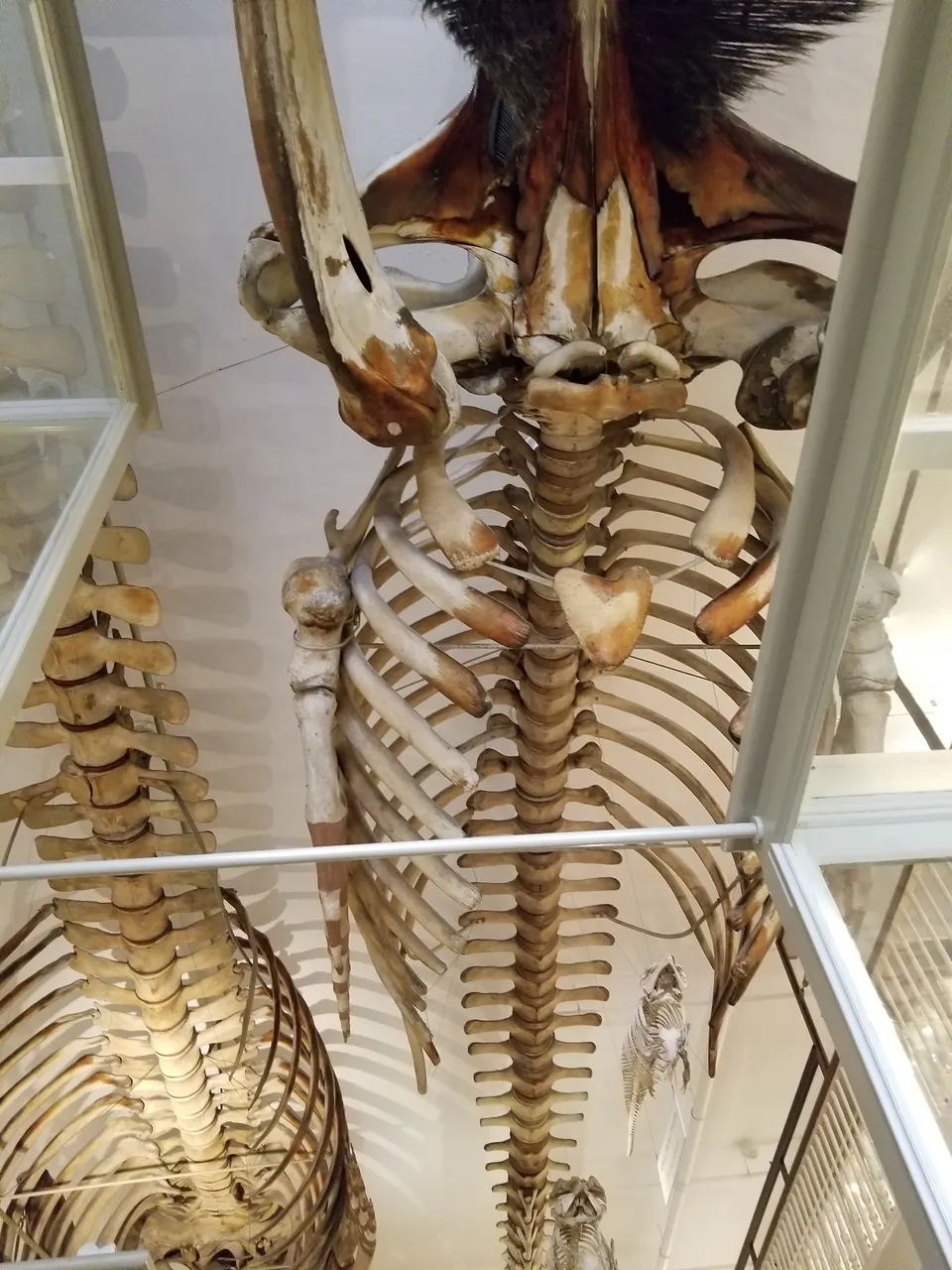 20171112_110734.jpg