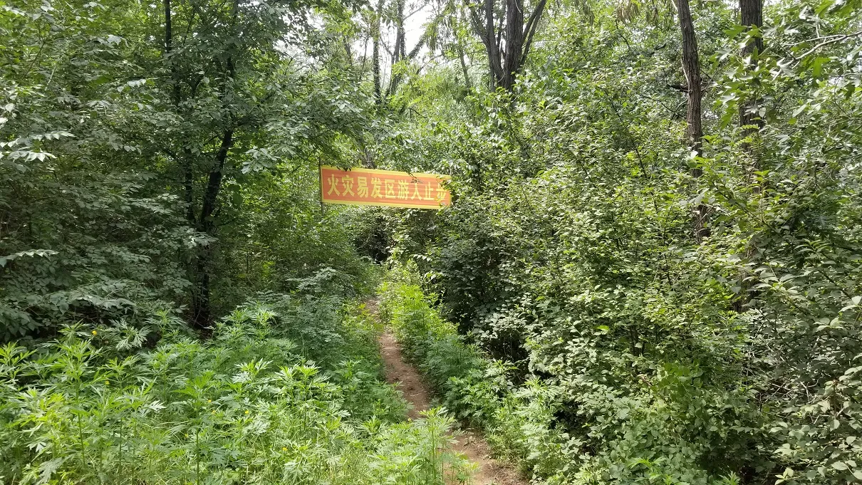 20180630_112740.jpg