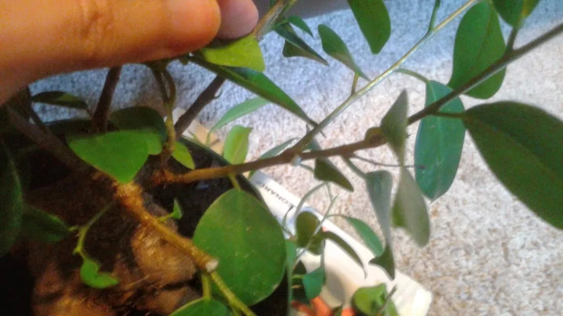 20181228_140616.jpg