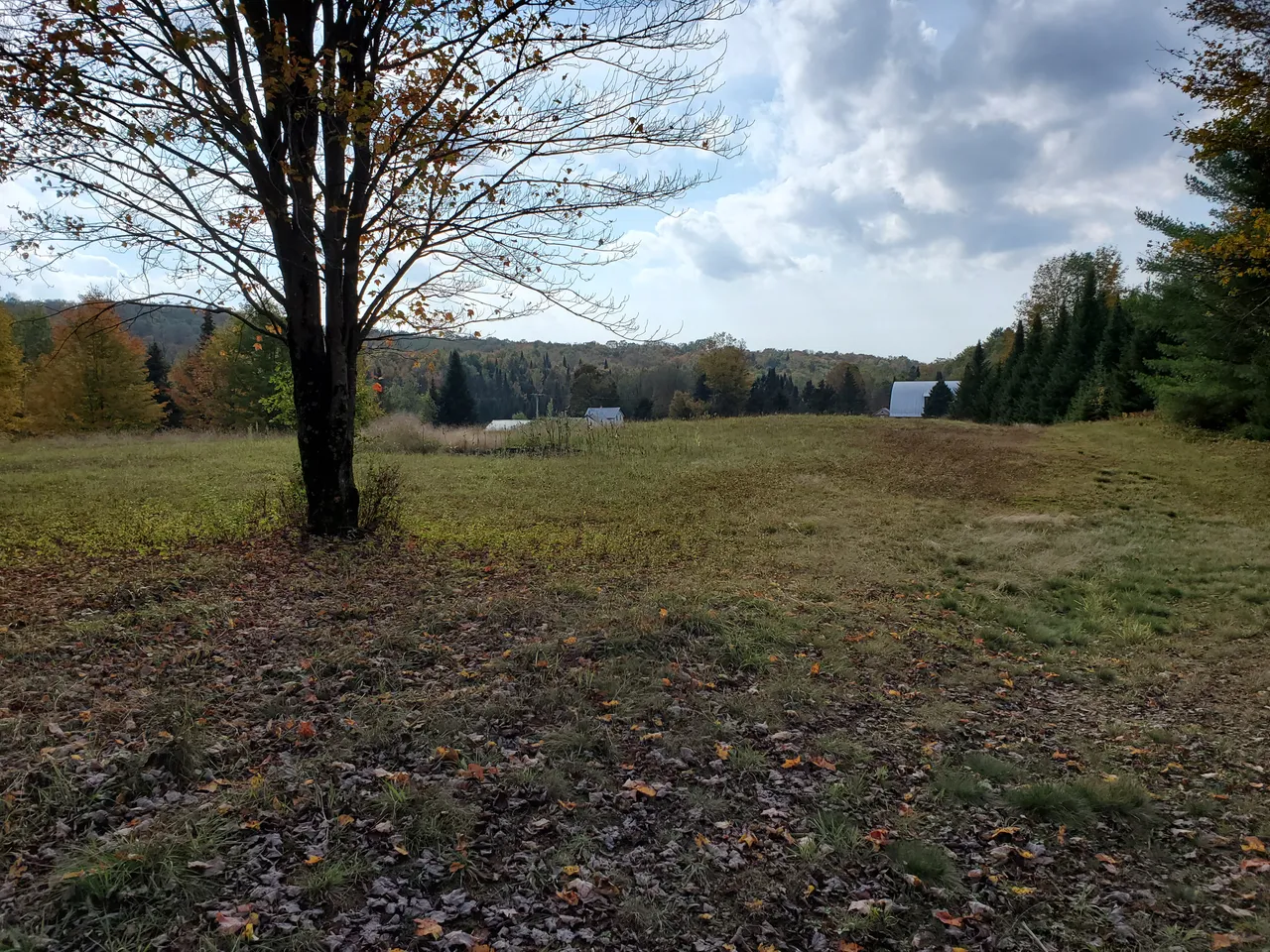 20191001_151354.jpg