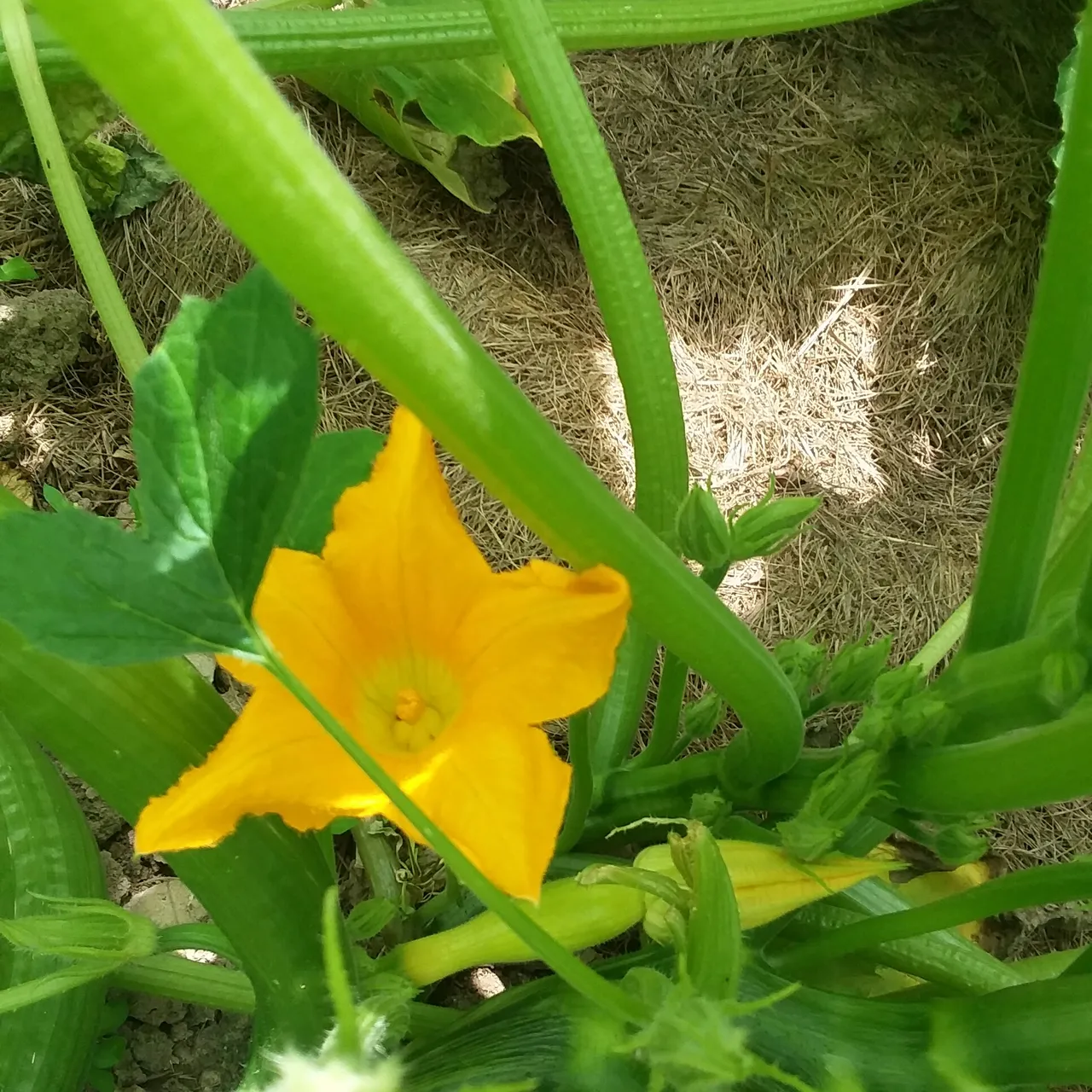20180722_152008.jpg