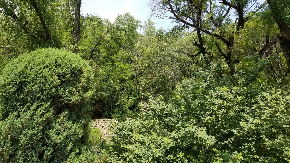 20180630_125226.jpg