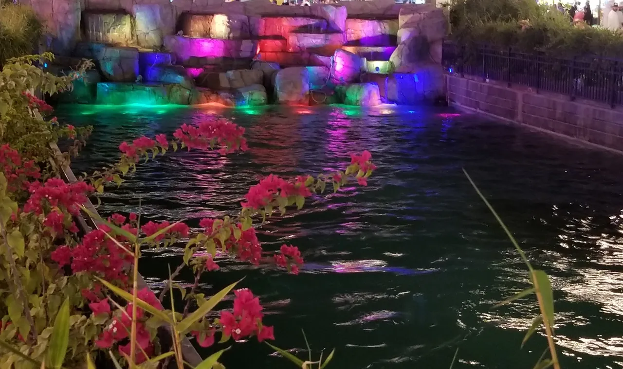20180404_223421.jpg