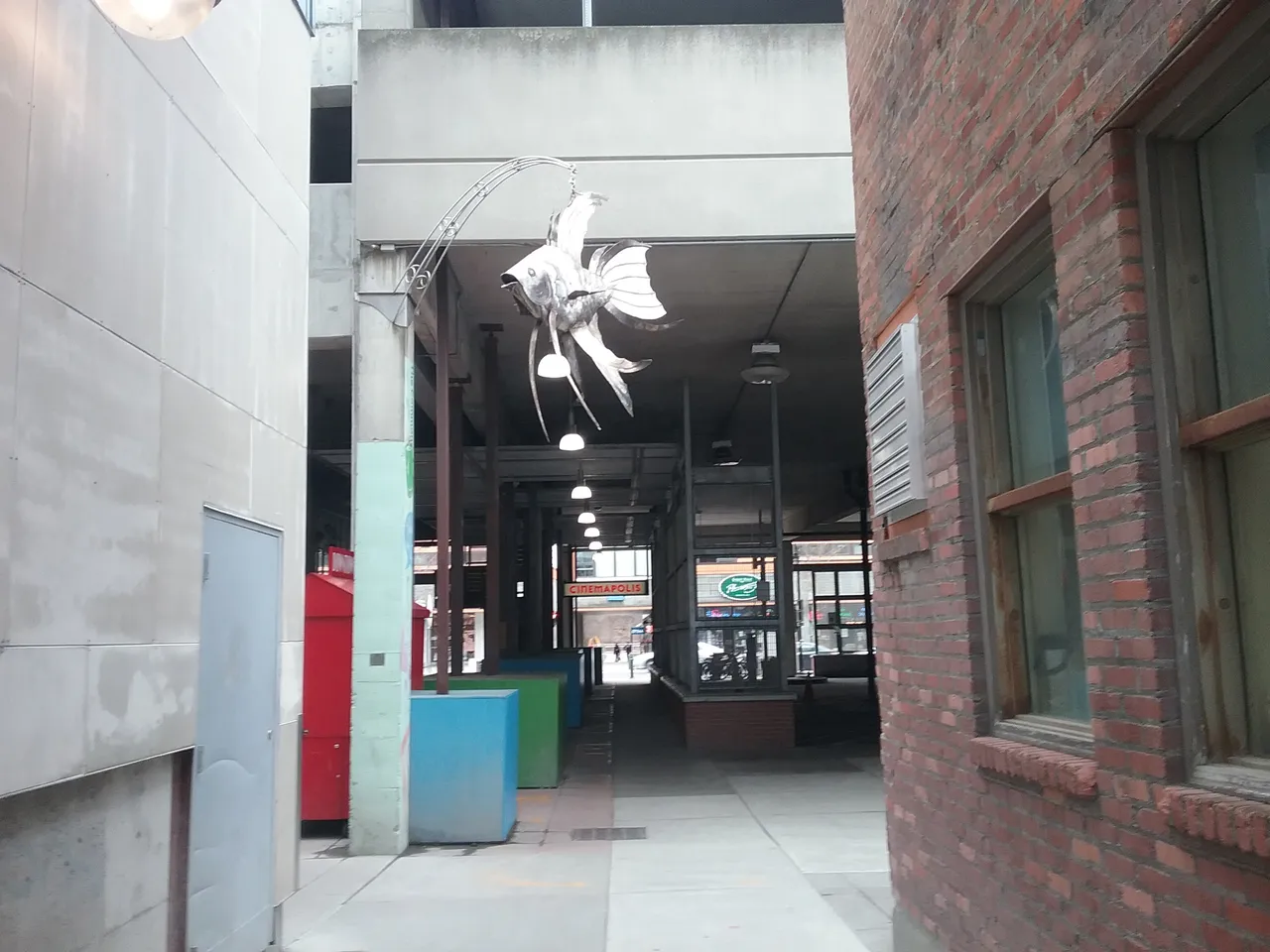 20180415_132113.jpg