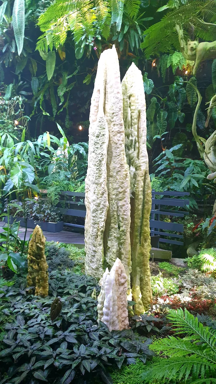 20190823_104507.jpg