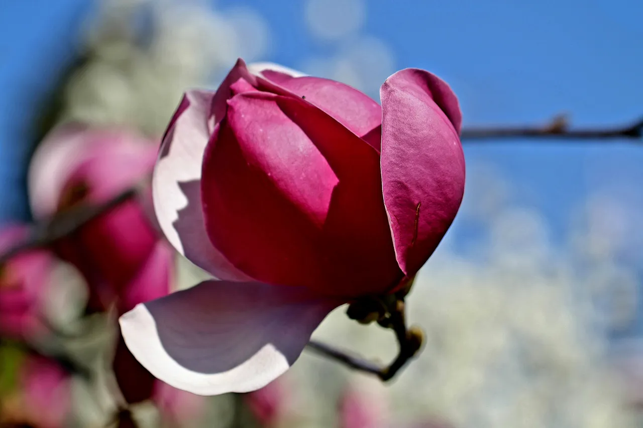20190407_152406.jpg
