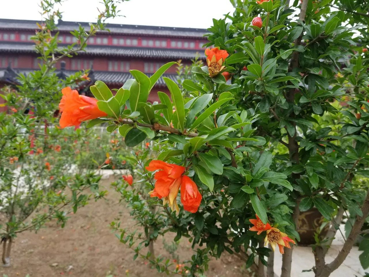 20180617_100133.jpg