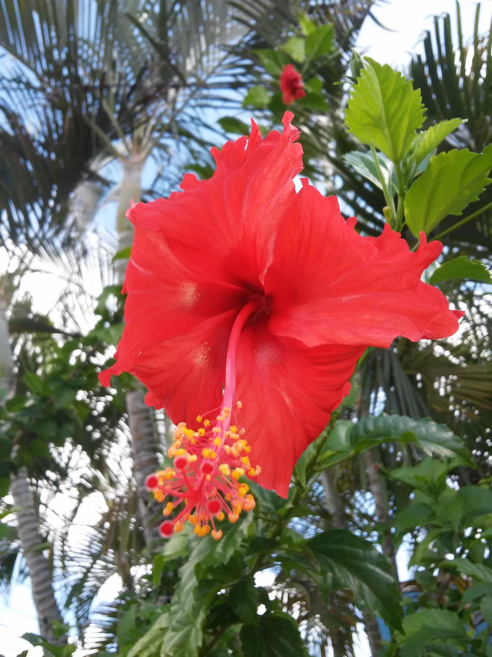 20181002_102011.jpg