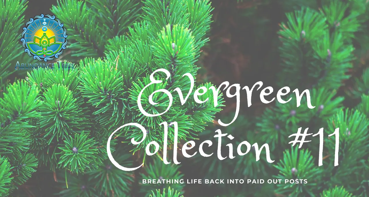 Evergreen Collection 1 11.png