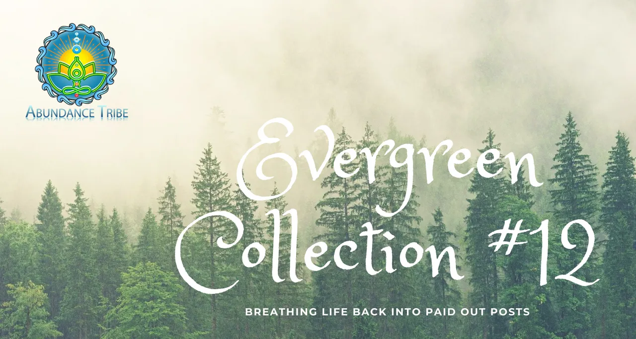 Evergreen Collection 1 12.png