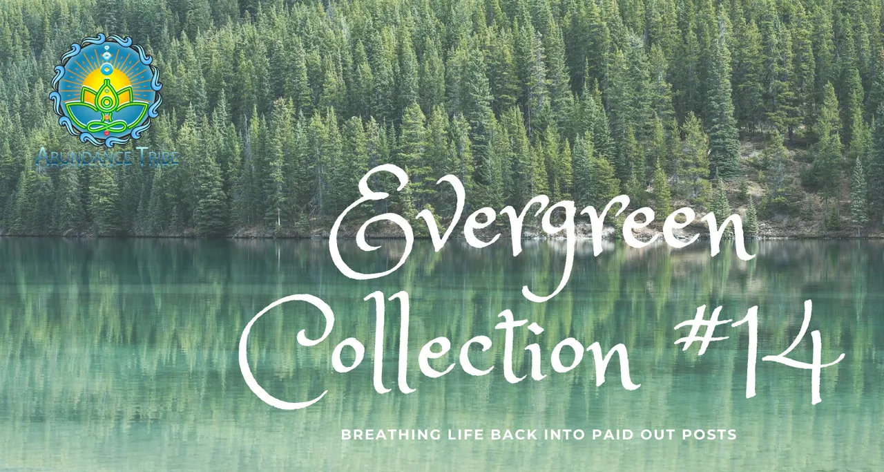 Evergreen Collection 1 14.png
