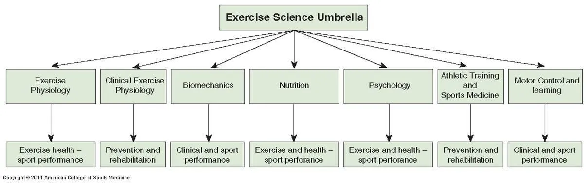 disciplines of exercise science.jpg