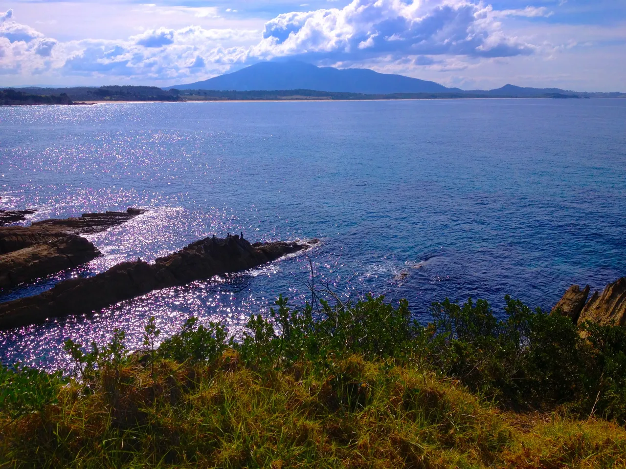 BERMAGUI TO MT DROMADERRY.JPG