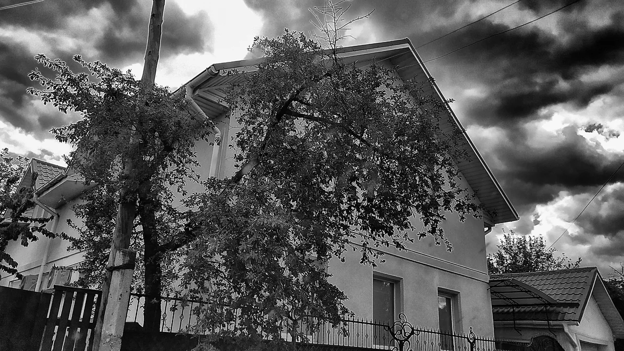 IMG_20200509_104216_Snapseedіі.jpg