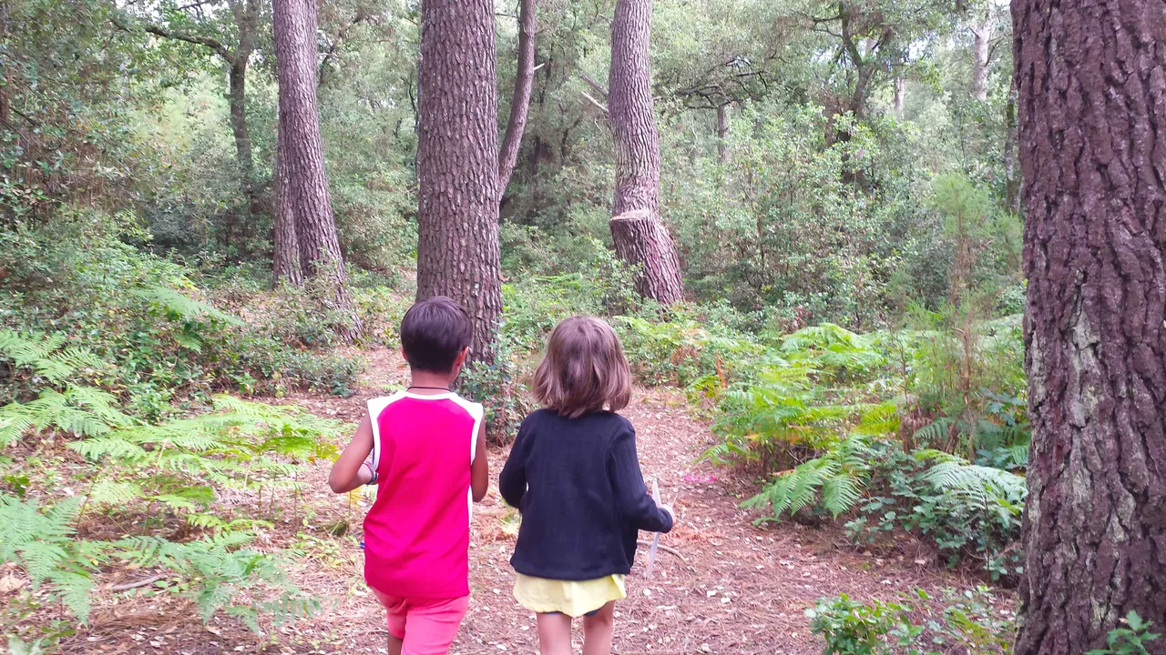 My nephew and niece looking for the first tree