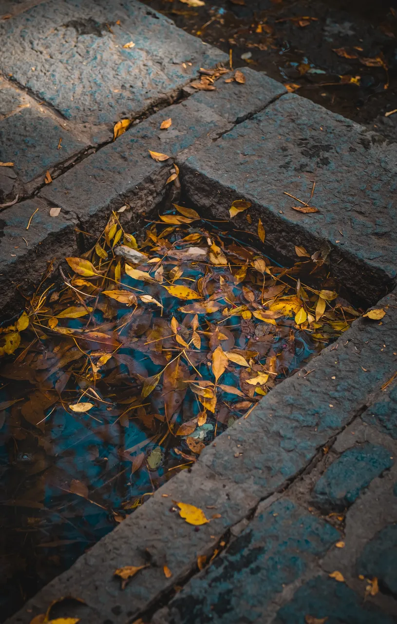 omidarminTZgGPblgo3Uunsplash.jpg