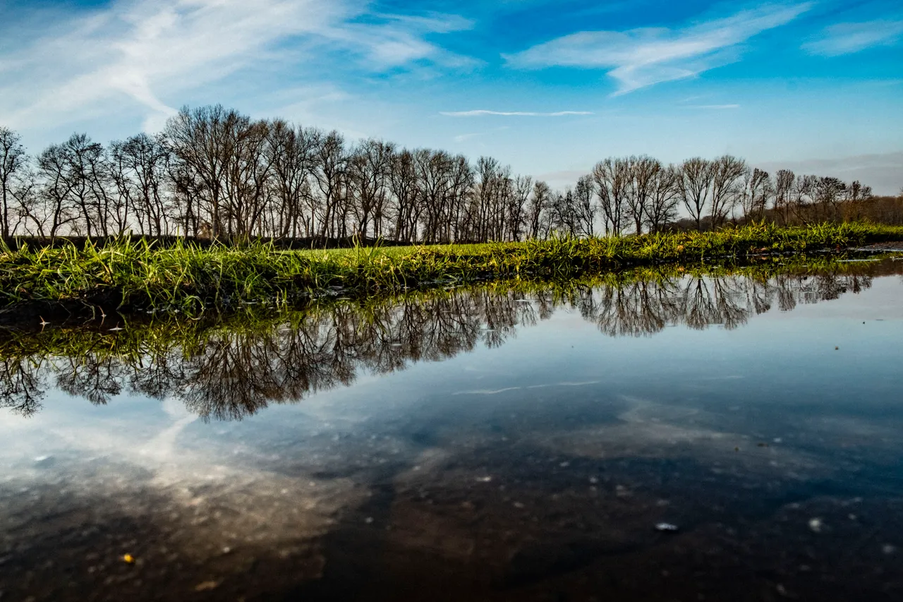 XT200926_Feldweg_Pfuetze_Baeume_C.JPG